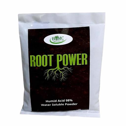 ROOT POWER